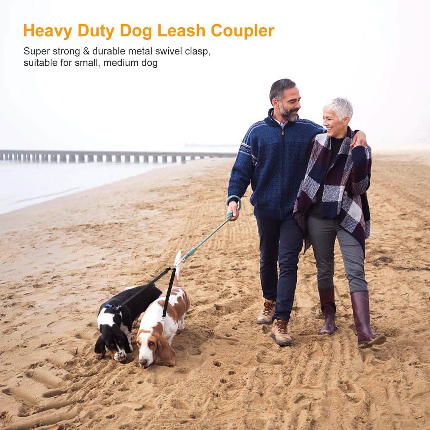 No-Tangle Dual Dogs Leash DailySale