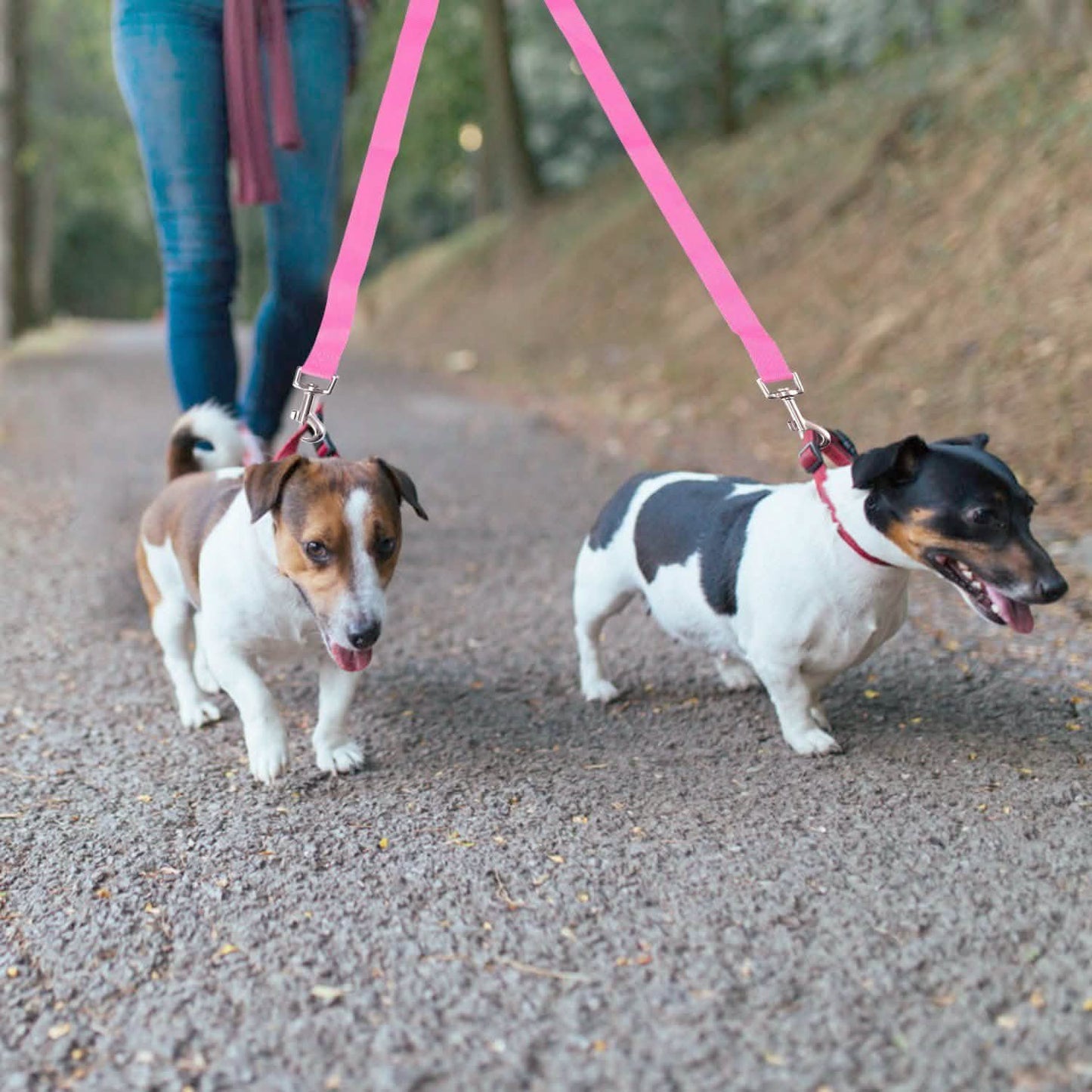 No-Tangle Dual Dogs Leash DailySale