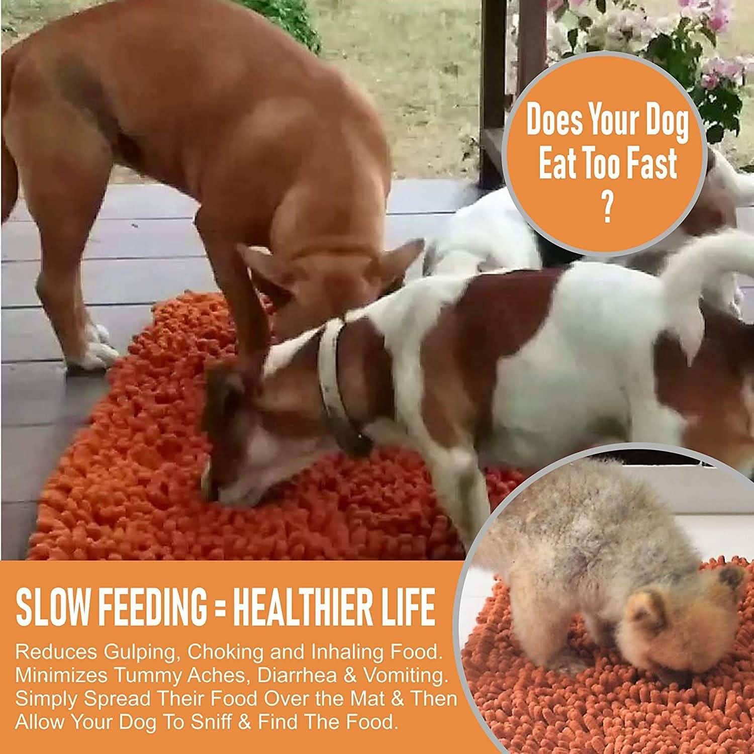 Our K9 Training Made Easy Snuffle Mat DailySale