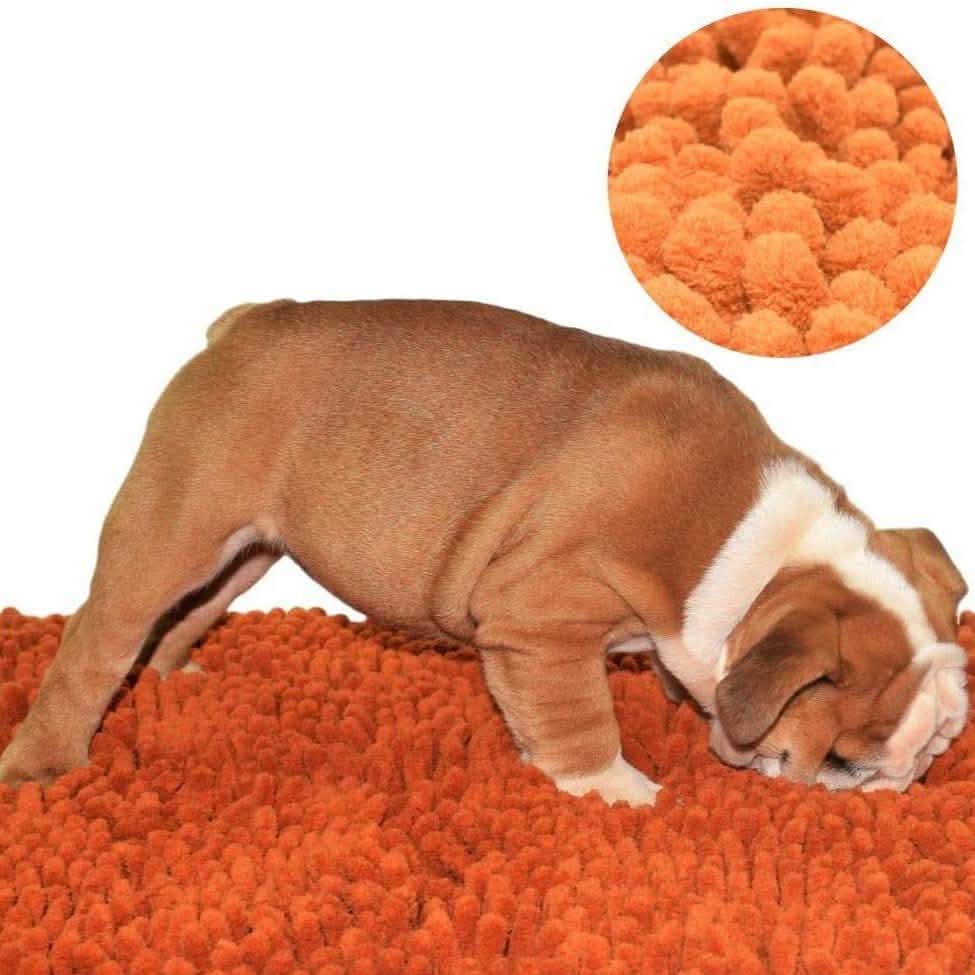 Our K9 Training Made Easy Snuffle Mat DailySale