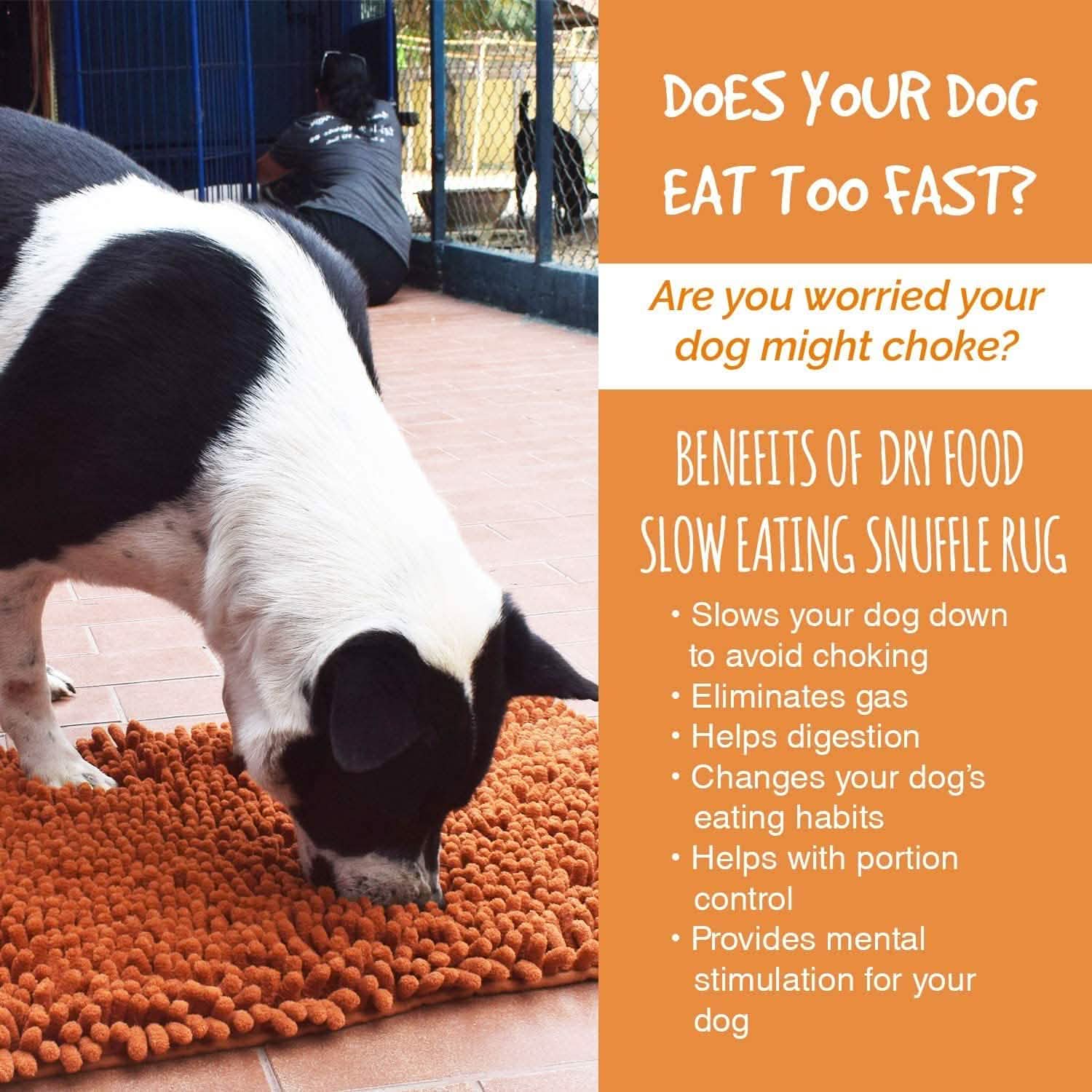 Our K9 Training Made Easy Snuffle Mat DailySale
