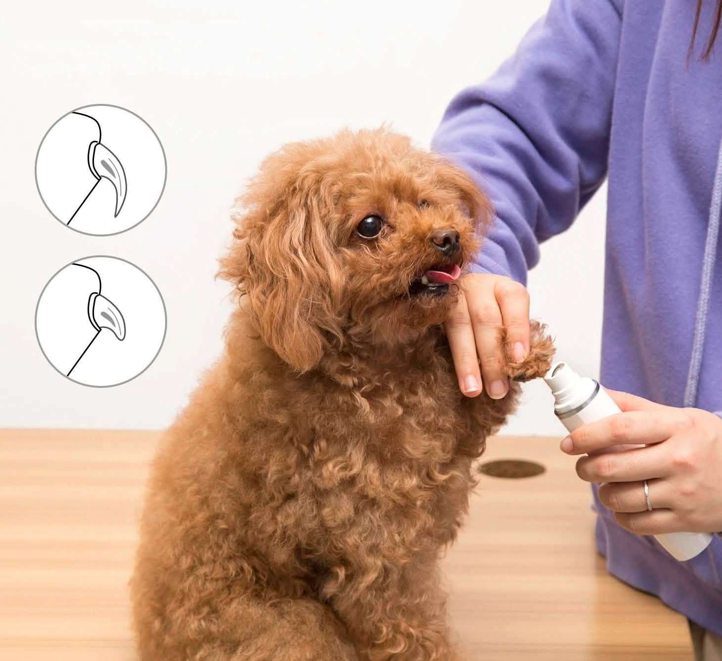 Ownpets Rechargeable Pet Nail Clipper Tool Kit DailySale
