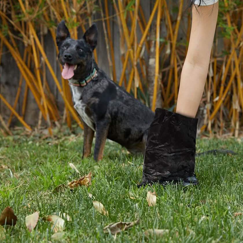 Oxo-Biodegradable Poop Bags for Dogs and Cats with Dispenser DailySale