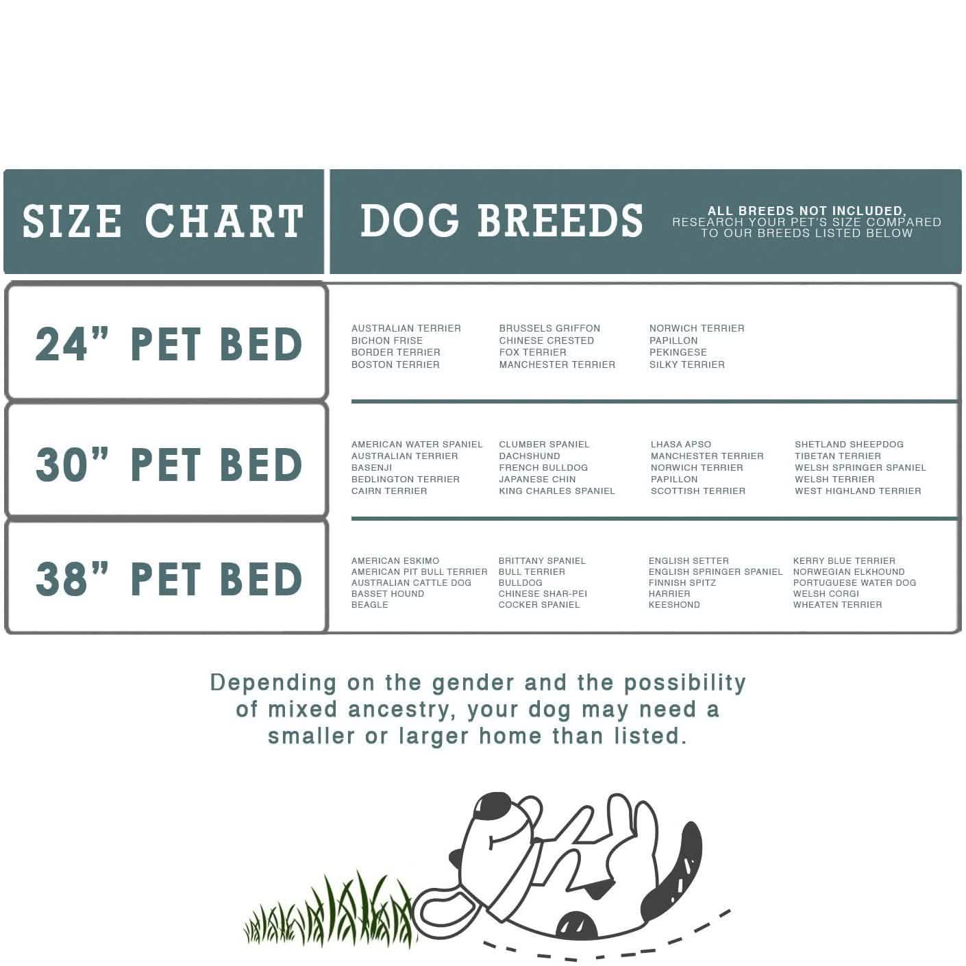 Paws & Pals Bed for Pets DailySale
