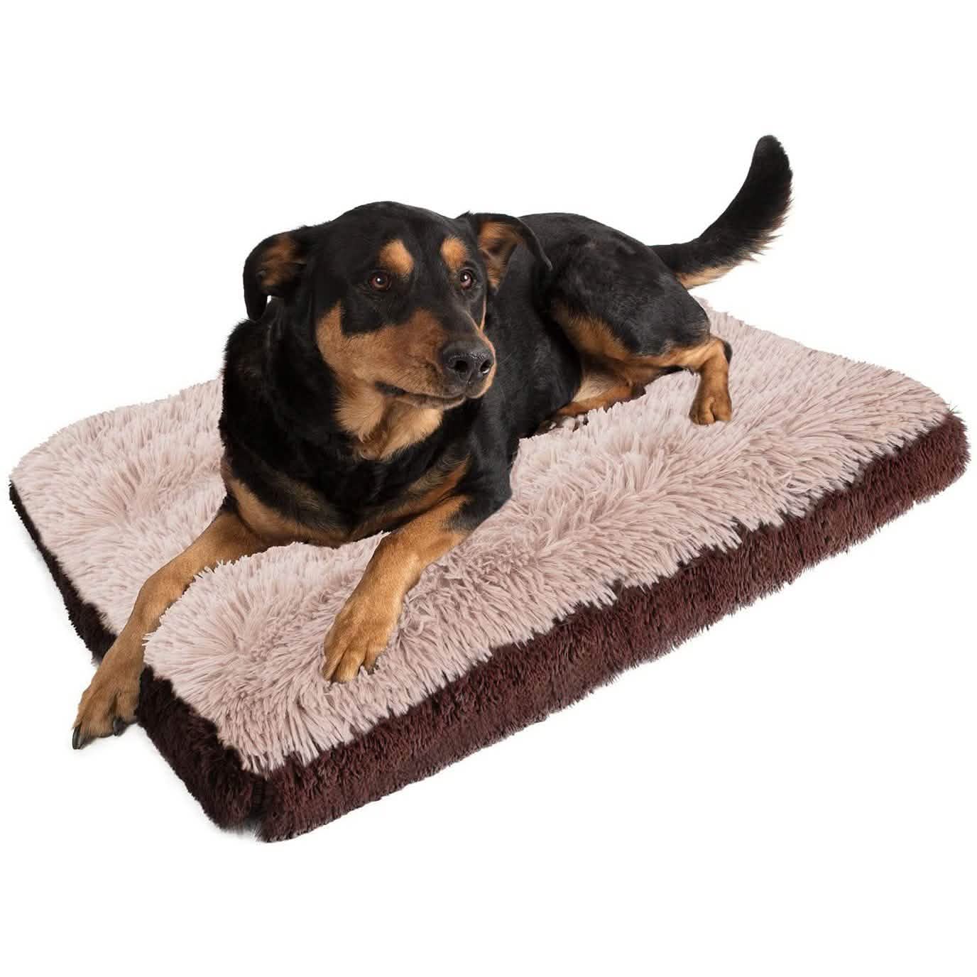 Paws & Pals Bed for Pets DailySale