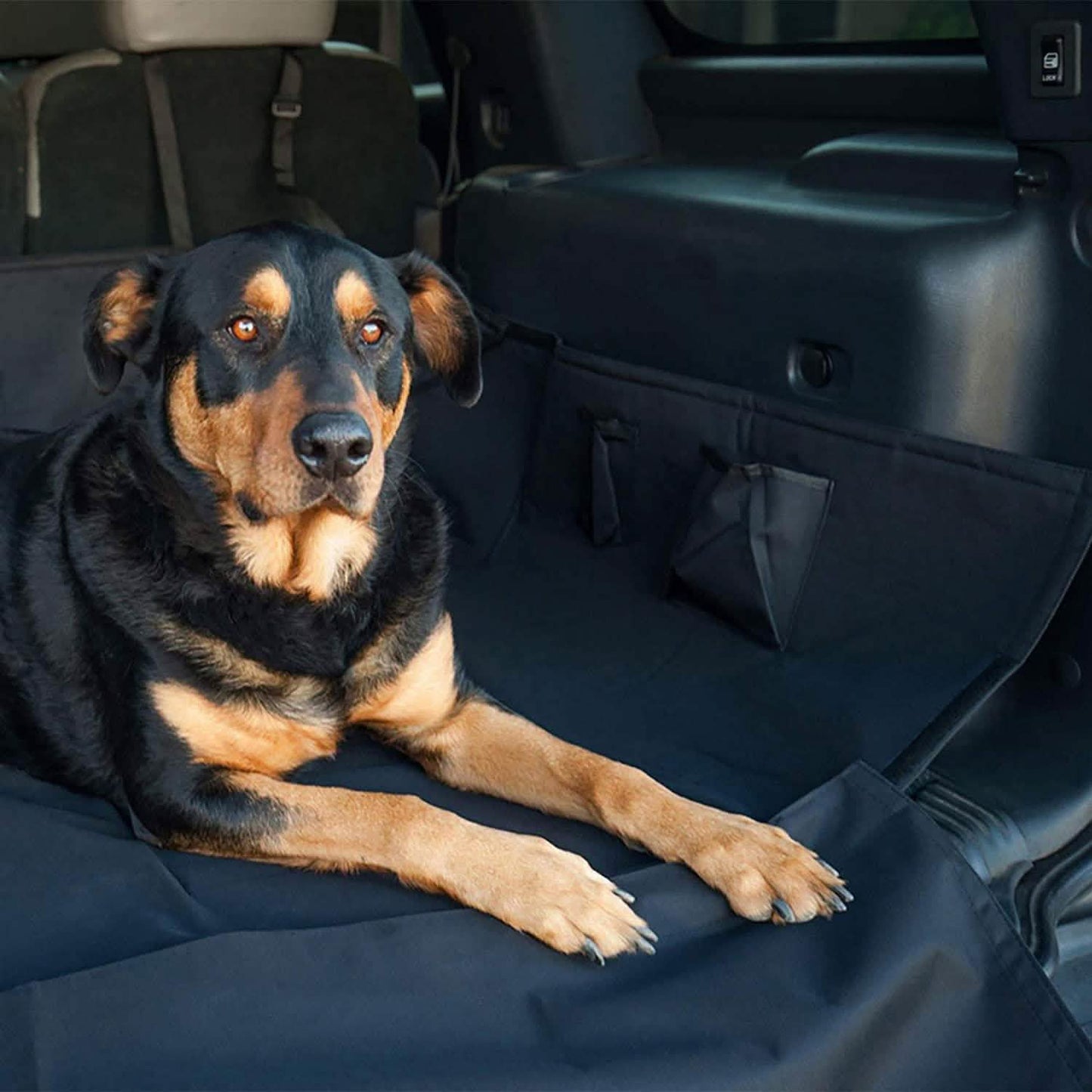 Paws & Pals Dog Seat Cover for Back Seat DailySale