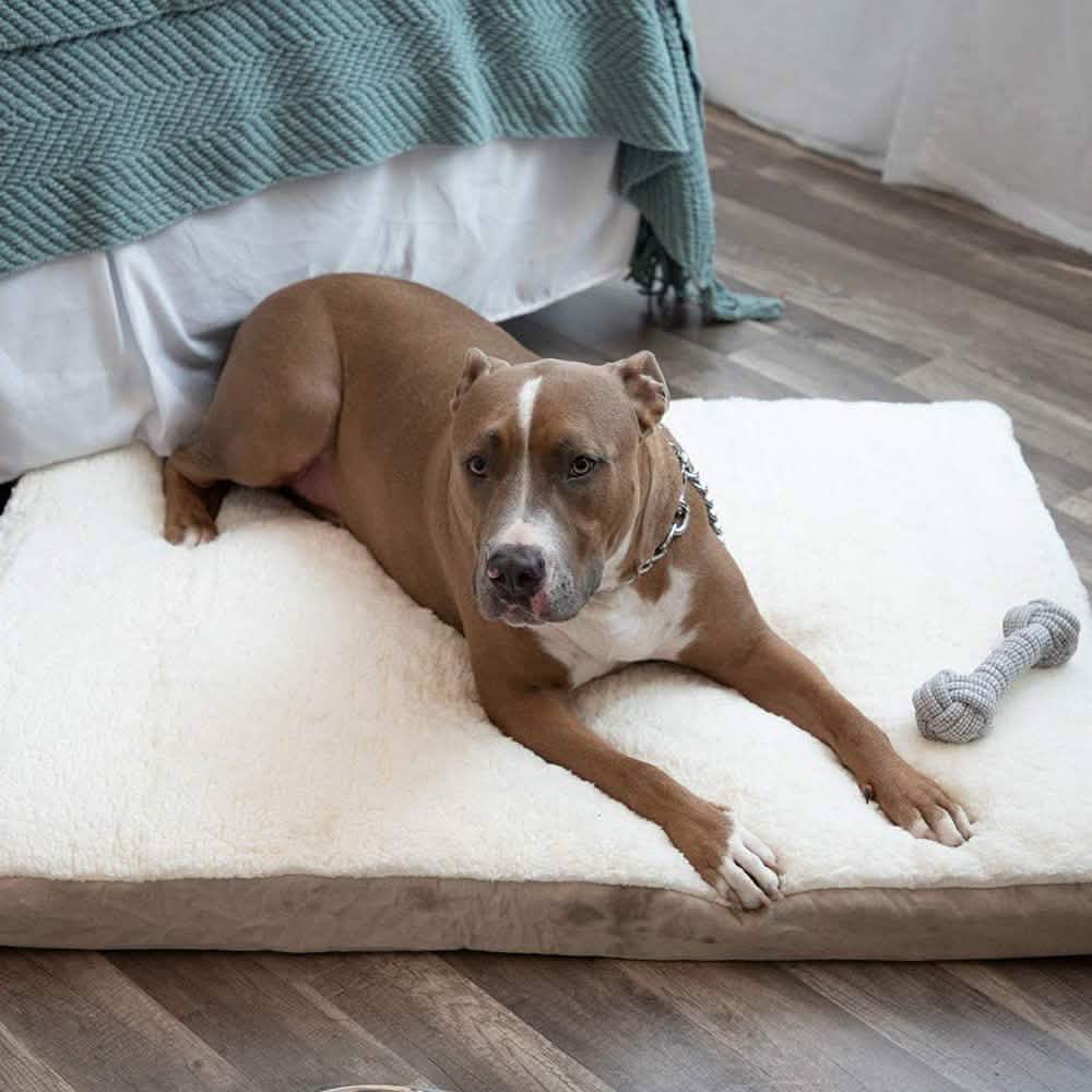 Paws & Pals Orthopedic Pet Bed Foam-Mattress for Dogs and Cats DailySale