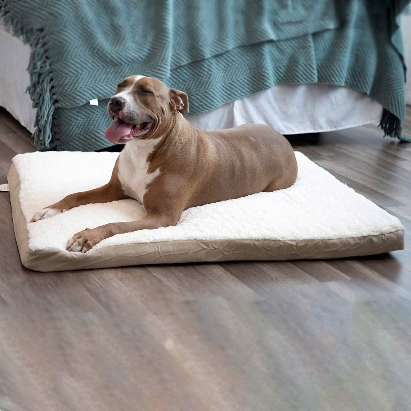 Paws & Pals Orthopedic Pet Bed Foam-Mattress for Dogs and Cats DailySale