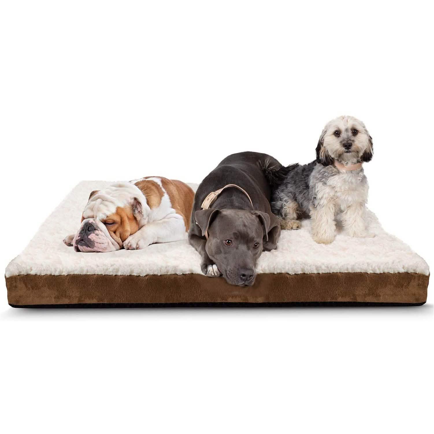 Paws & Pals Orthopedic Pet Bed Foam-Mattress for Dogs and Cats DailySale