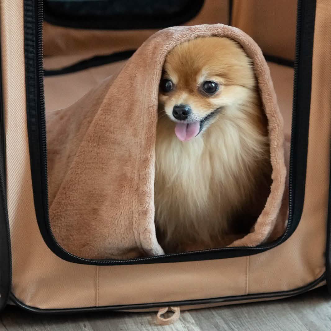 Paws & Pals Portable Pet Playpen with Blanket DailySale