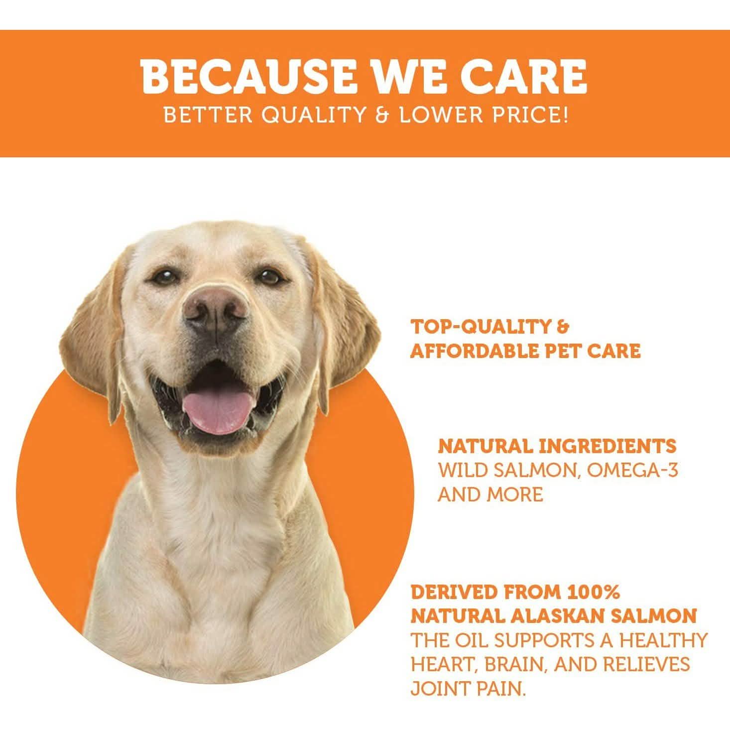 Paws & Pals Wild Alaskan Salmon Oil for Dogs and Cats - 32oz DailySale