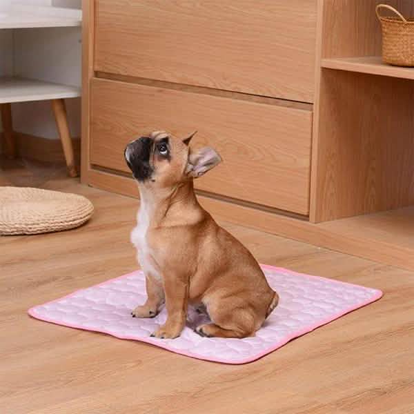 Pet Cooling Mat DailySale