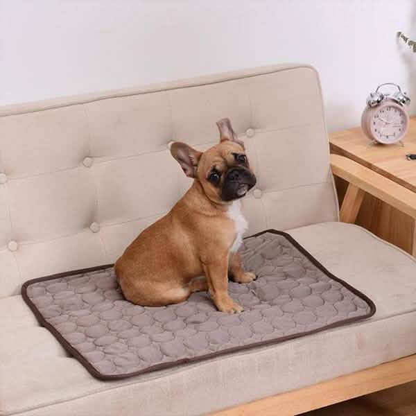 Pet Cooling Mat DailySale