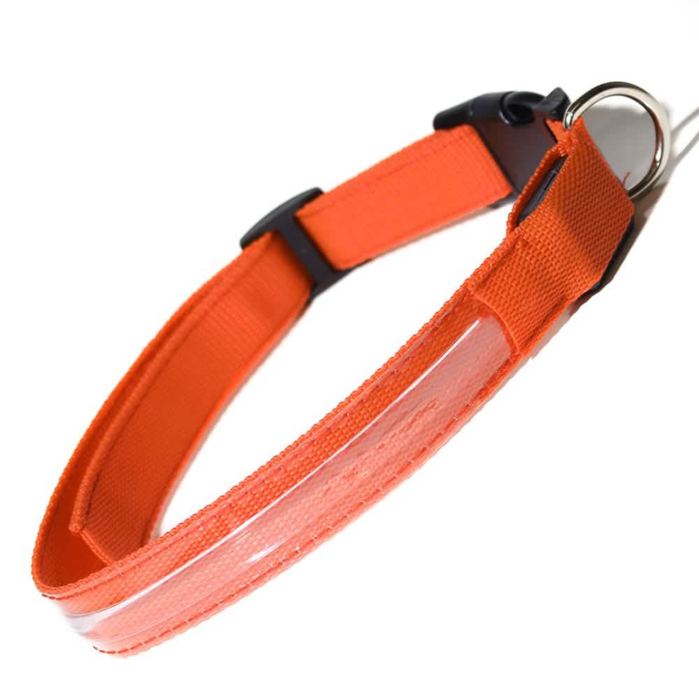 Pet LED Collar DailySale