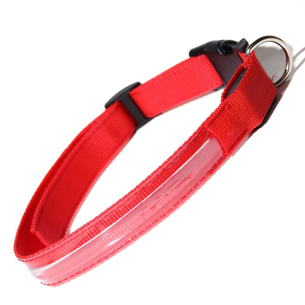 Pet LED Collar DailySale