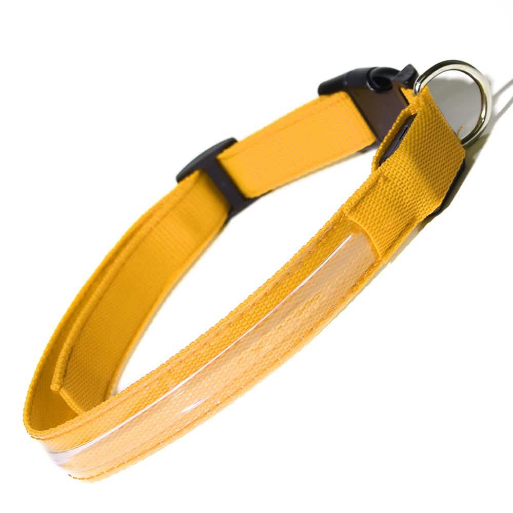 Pet LED Collar DailySale