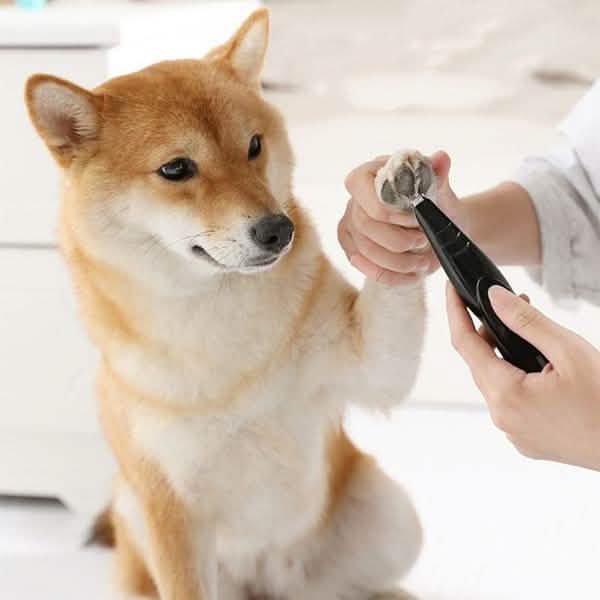 Pet Local Hair Trimmer Grooming Tool DailySale