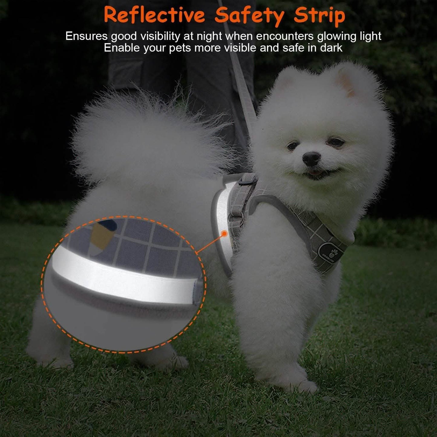 Pet Mesh Harness Dog Leash Puppy Vest DailySale