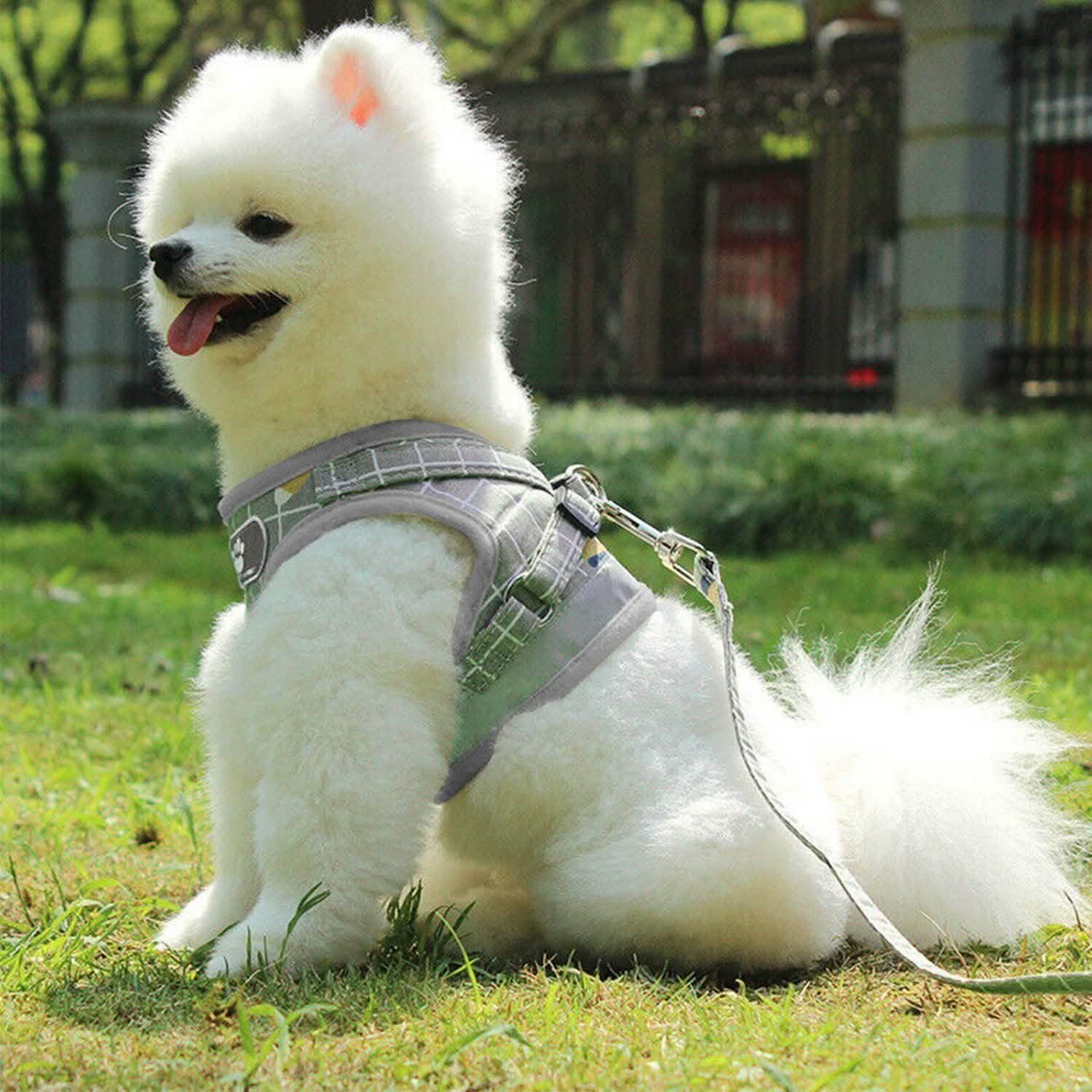 Pet Mesh Harness Dog Leash Puppy Vest DailySale