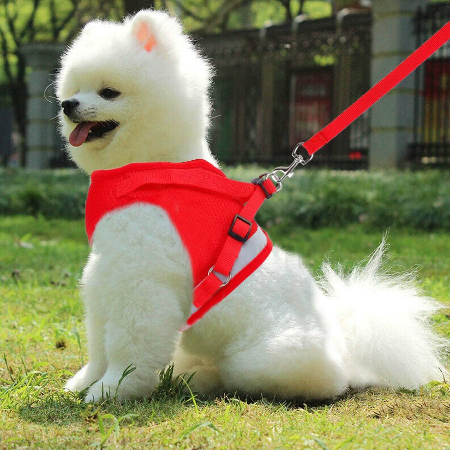 Pet Mesh Harness Dog Leash Puppy Vest DailySale