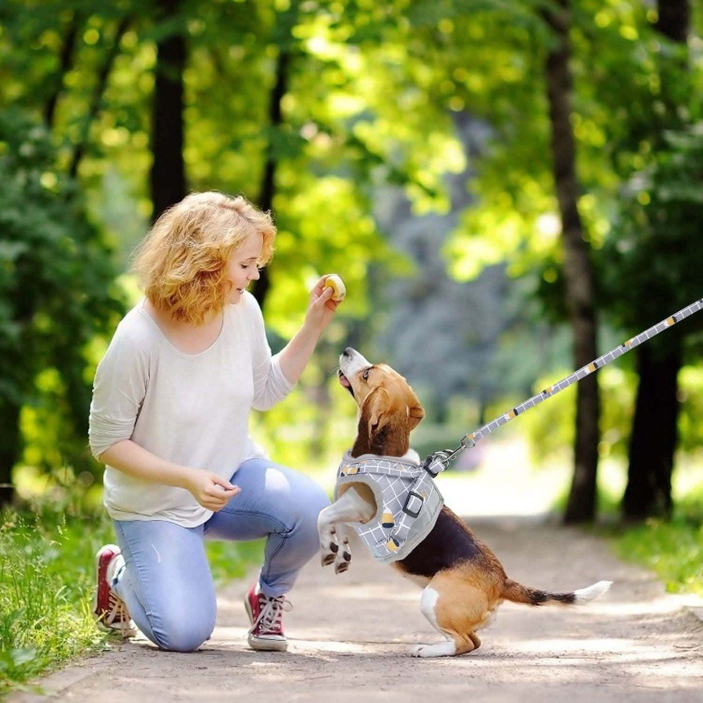 Pet Mesh Harness Dog Leash Puppy Vest DailySale