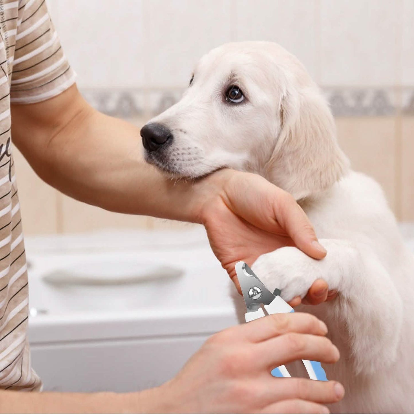 Pet Nail Toe Stainless Steel Trimmer with Nail File DailySale