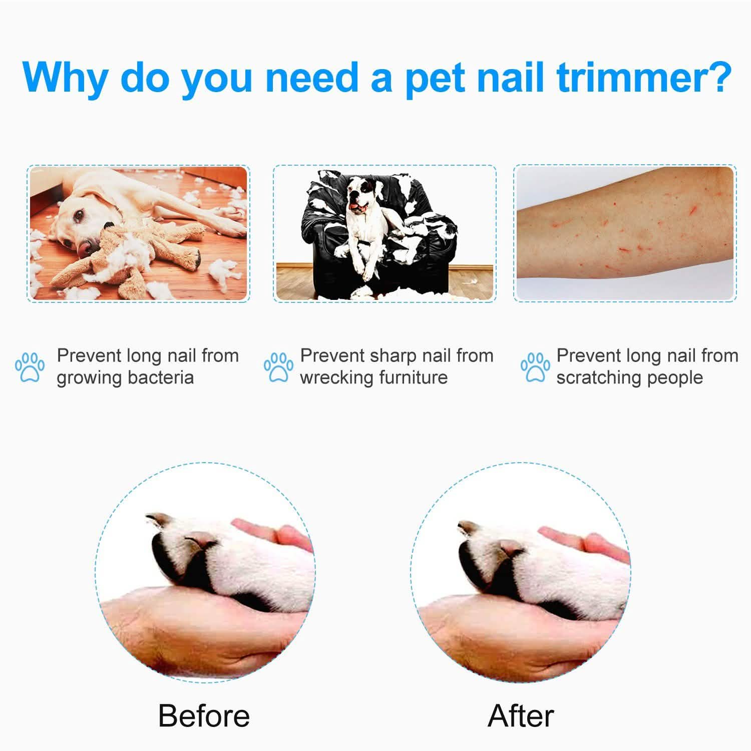 Pet Nail Toe Stainless Steel Trimmer with Nail File DailySale