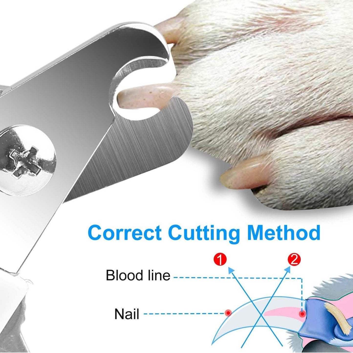 Pet Nail Toe Stainless Steel Trimmer with Nail File DailySale
