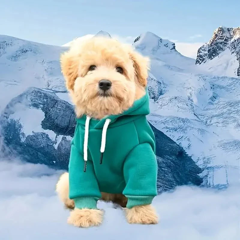 Pet Sweatshirt Hoodie With Pocket in the Back for Small Dogs DailySale