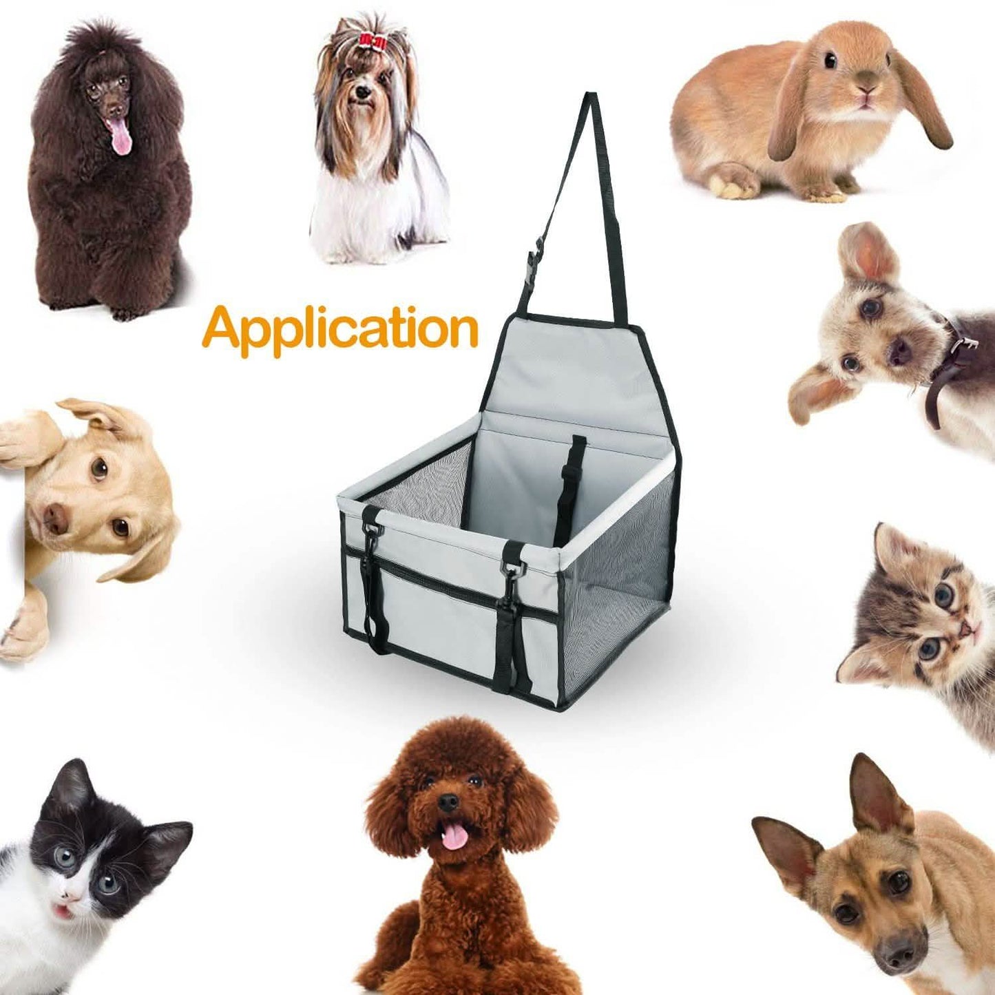 Pet Travel Carrier with Clip-On Safety Leash Zipper Storage Pocket for Pets up to 20lbs DailySale