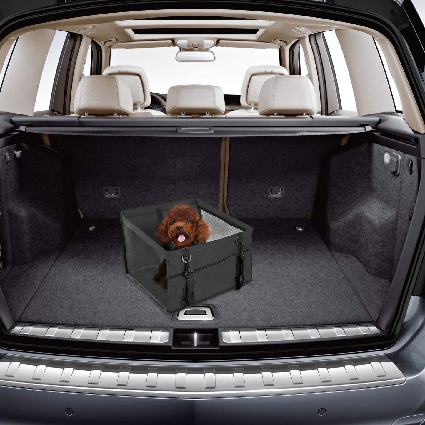 Pet Travel Carrier with Clip-On Safety Leash Zipper Storage Pocket for Pets up to 20lbs DailySale