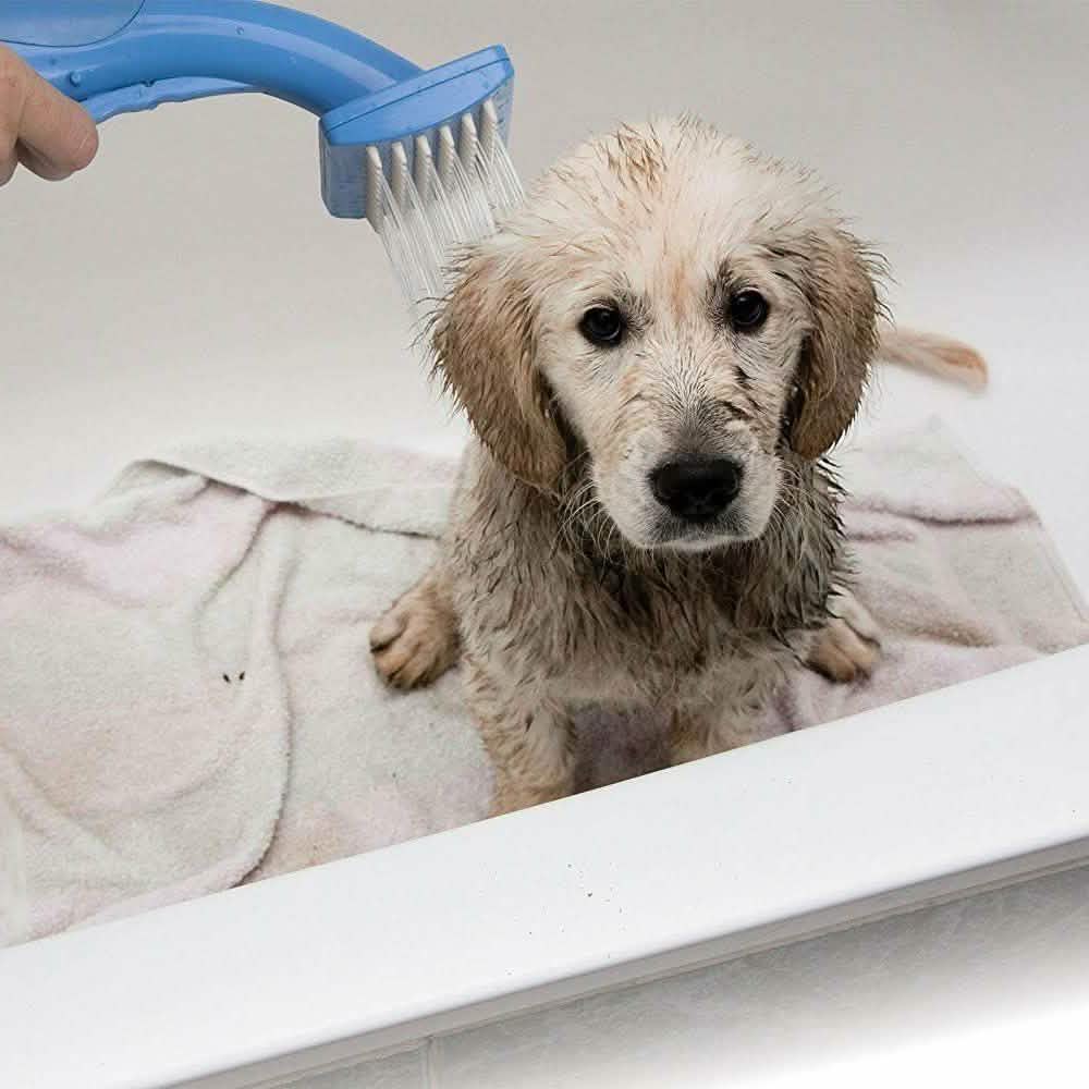 Pet Zoom Bathe and Groom Indoor Outdoor Dog Washer DailySale