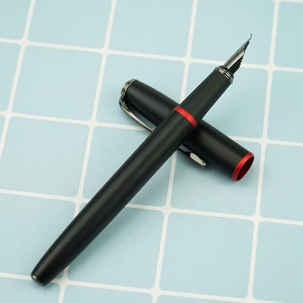 Picasso 916 Ring Fountain Pen DailySale