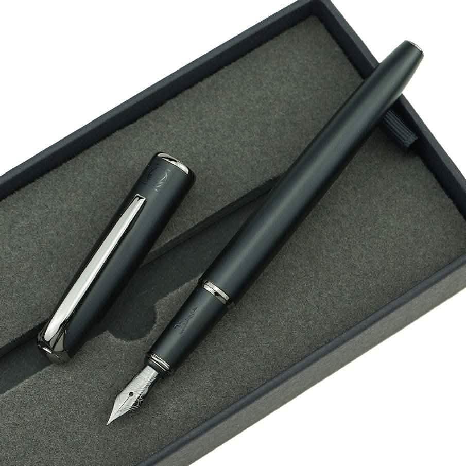 Picasso 916 Ring Fountain Pen DailySale