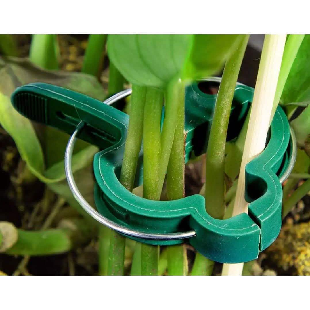 Plant Support Clips for Garden Vine to Grow Upright DailySale