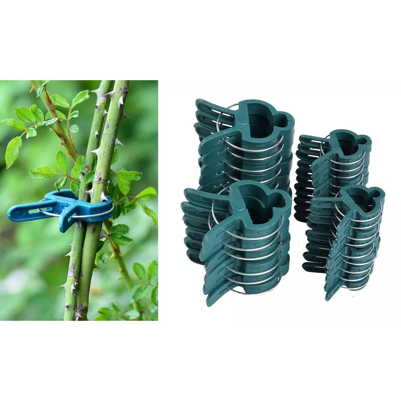 Plant Support Clips for Garden Vine to Grow Upright DailySale