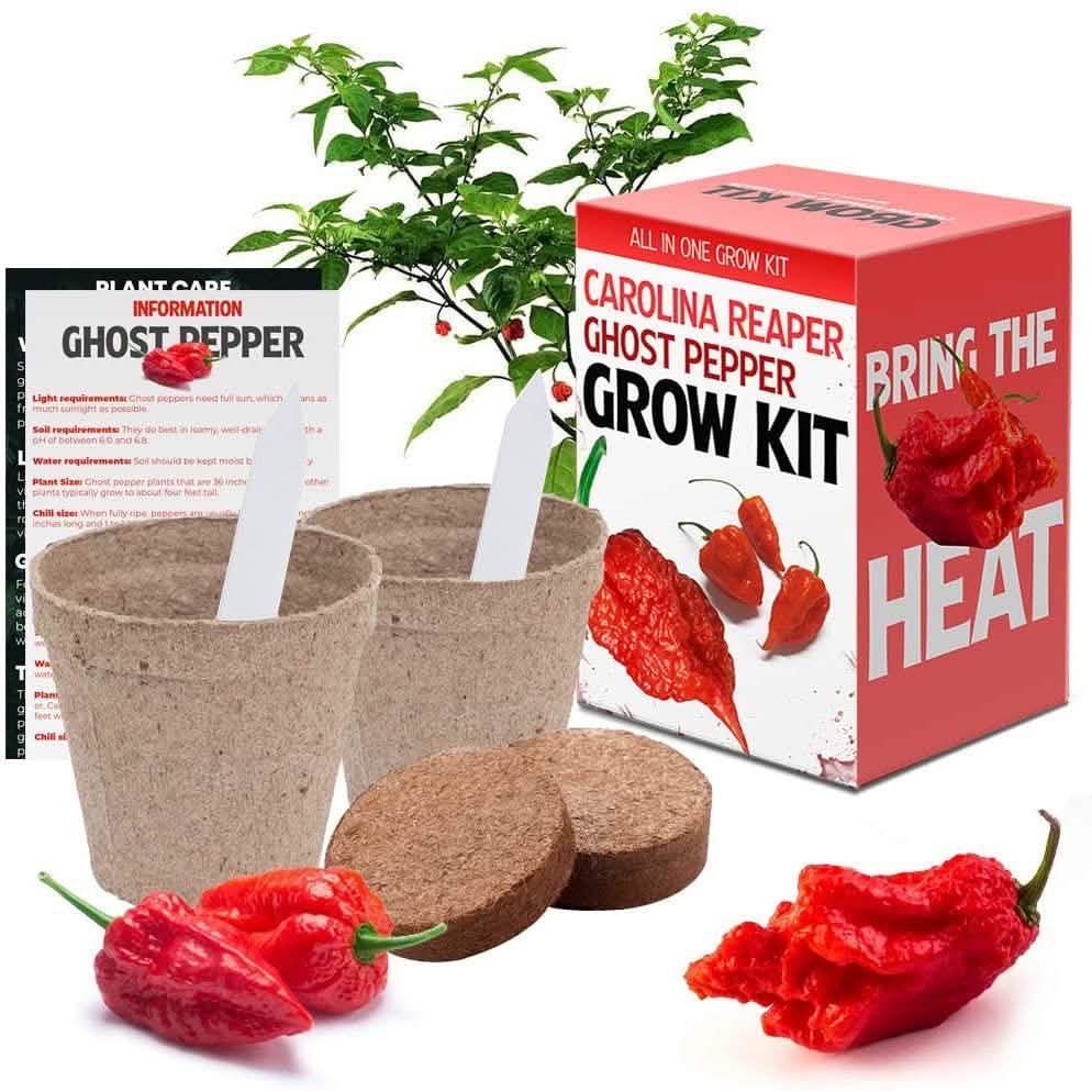 Plant Your Own Garden Grow Kit DailySale