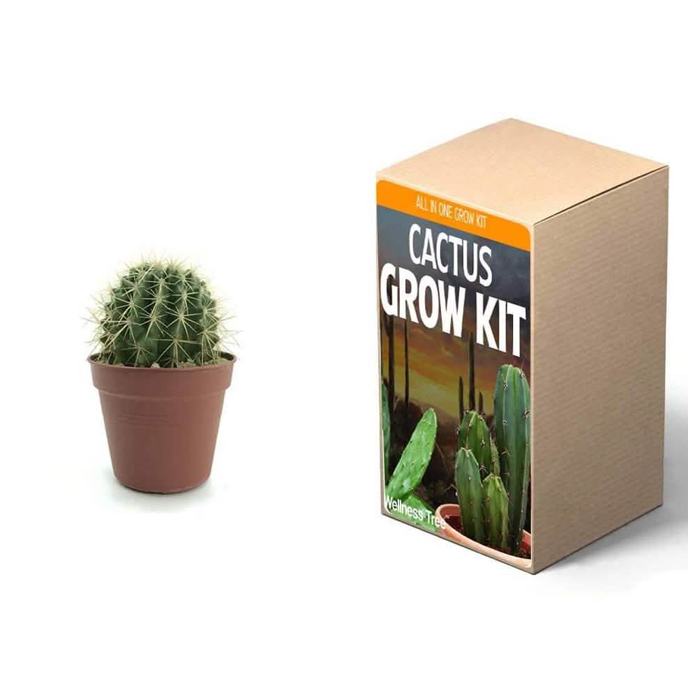Plant Your Own Garden Grow Kit DailySale