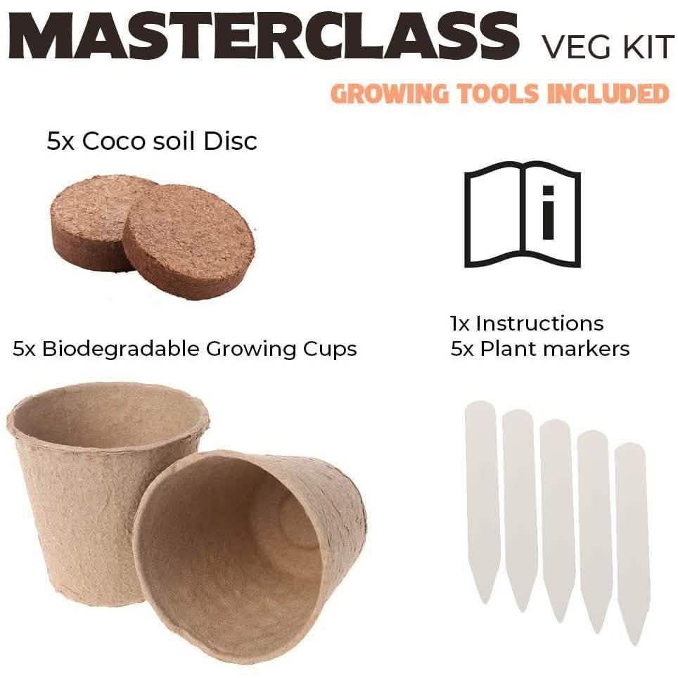 Plant Your Own Garden Grow Kit DailySale