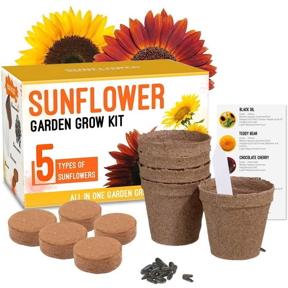 Plant Your Own Garden Grow Kit DailySale