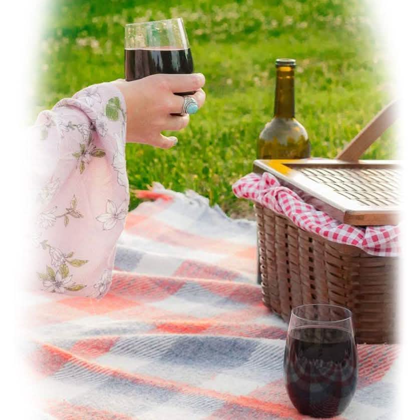 Plastic Stemless Wine Glasses by En Soiree DailySale