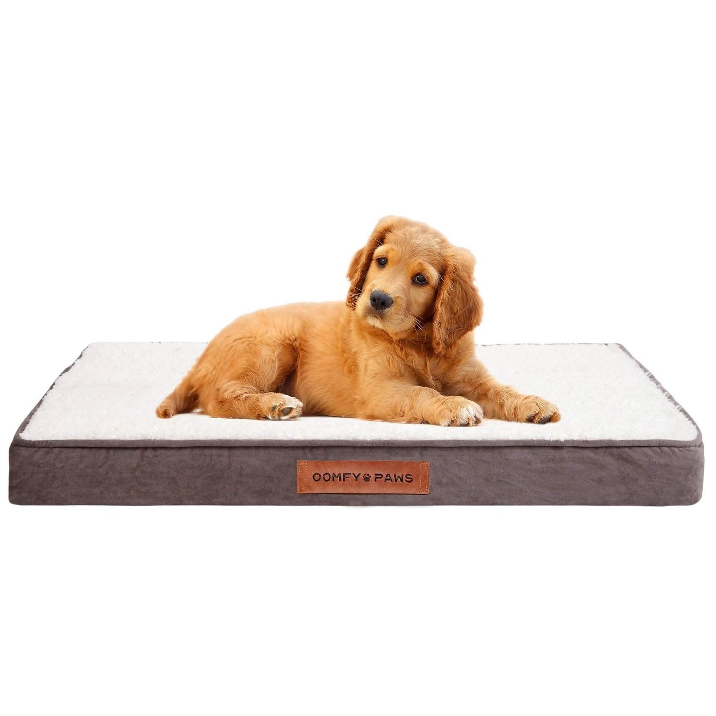 Premium Suede Velvet Orthopedic Dog Bed DailySale
