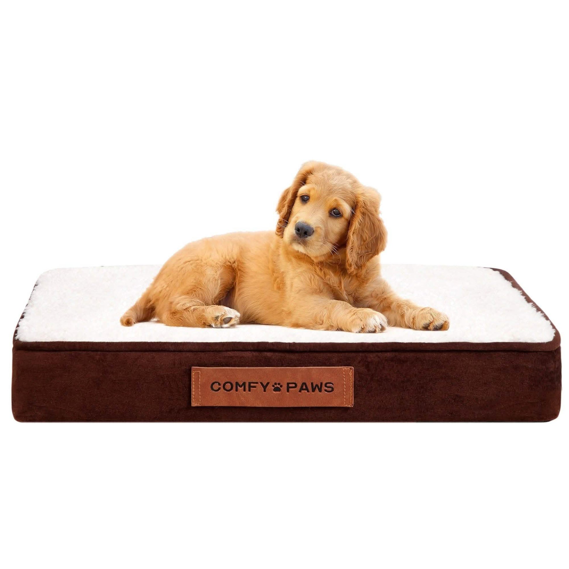 Premium Suede Velvet Orthopedic Dog Bed DailySale