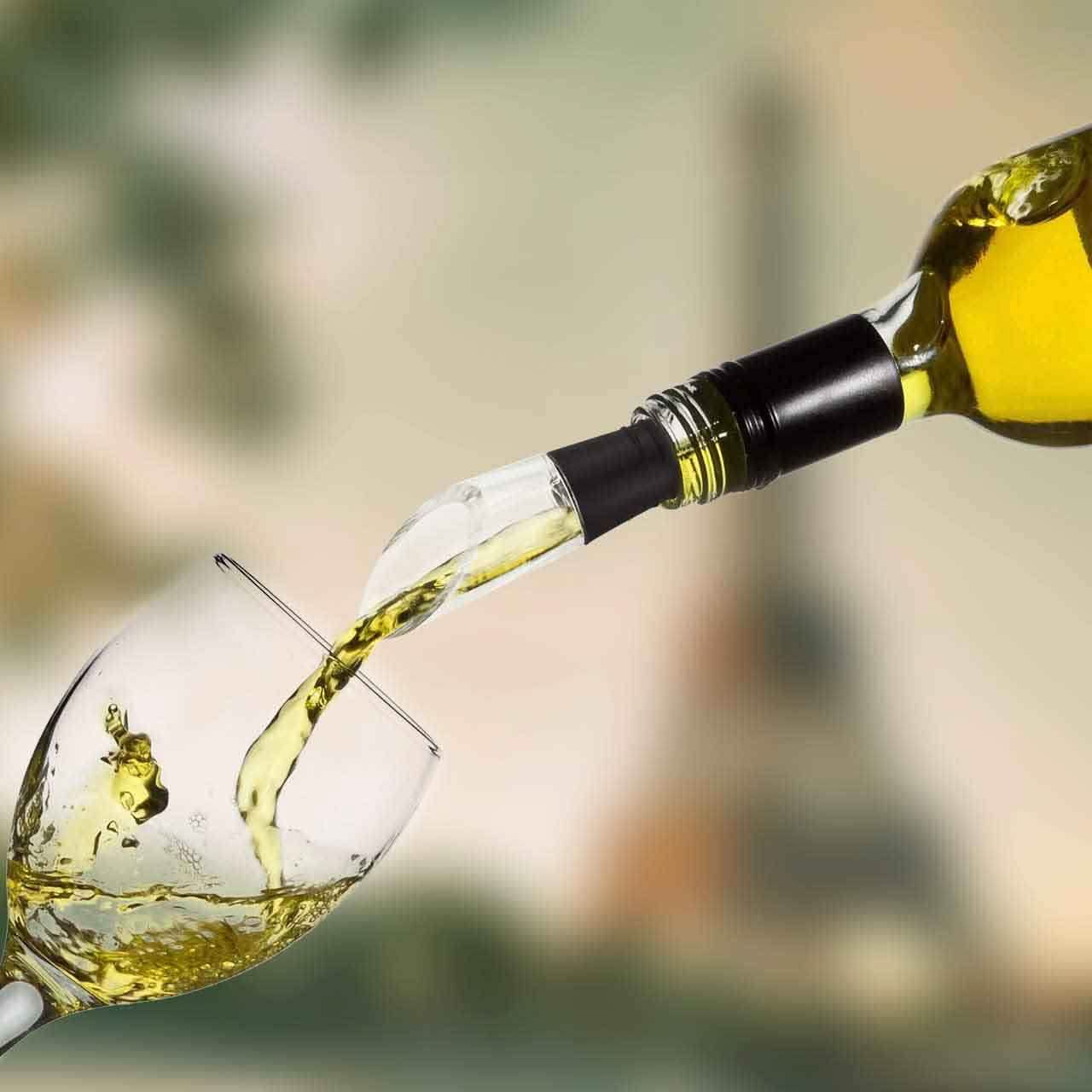 Prep by New Domaine Wine Chilling Stick and Aerator DailySale