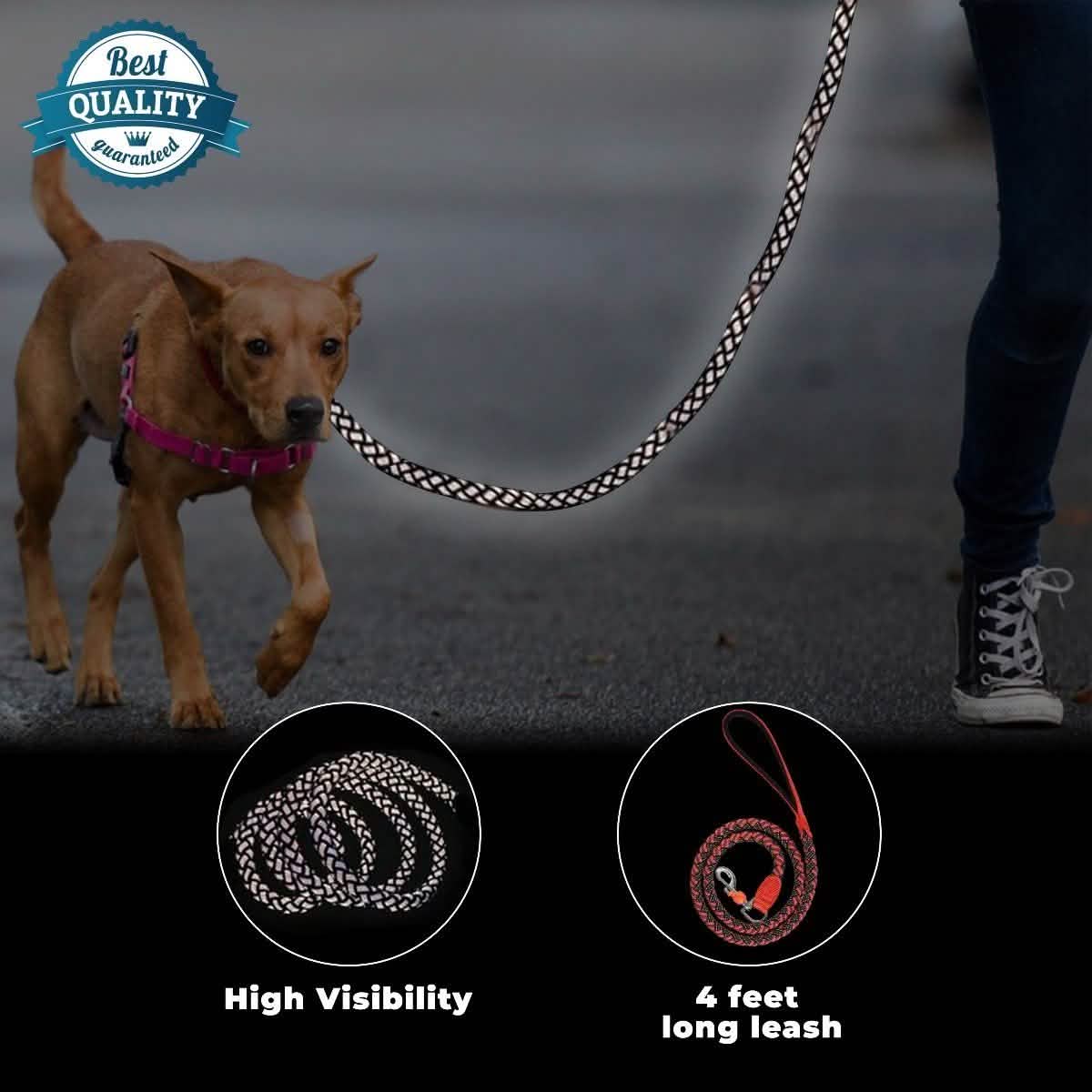 Reflective Stretchable Braided Leash for Pets DailySale