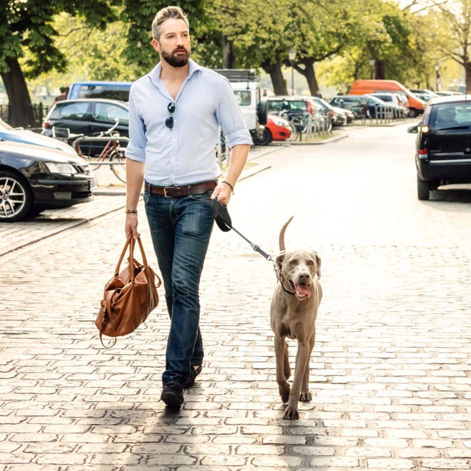 Retractable Dog Leash 16ft Extendable Range Heavy Duty Dog Walking Leash DailySale