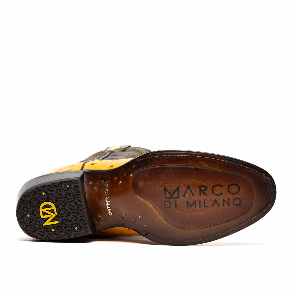 Savannah Buttercup Marco Di Milano