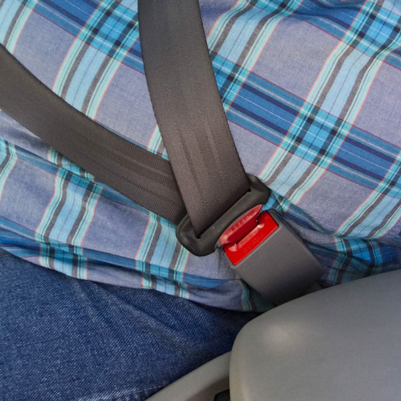Seat Belt Extension Plug Buckle Adjustable Car Seat Belt Extender Cover DailySale