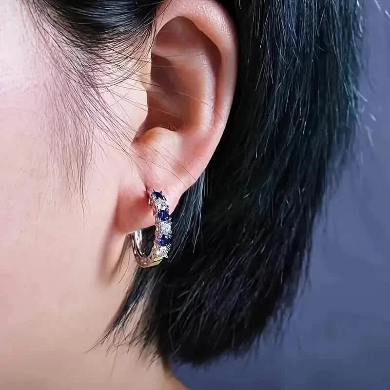 Silver Plated Hypoallergenic Circular Earrings Adorned With Colorful Synthetic Gemstones DailySale
