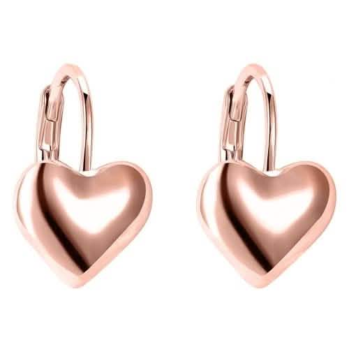 Sleek Heart Shaped Leverback Earrings DailySale